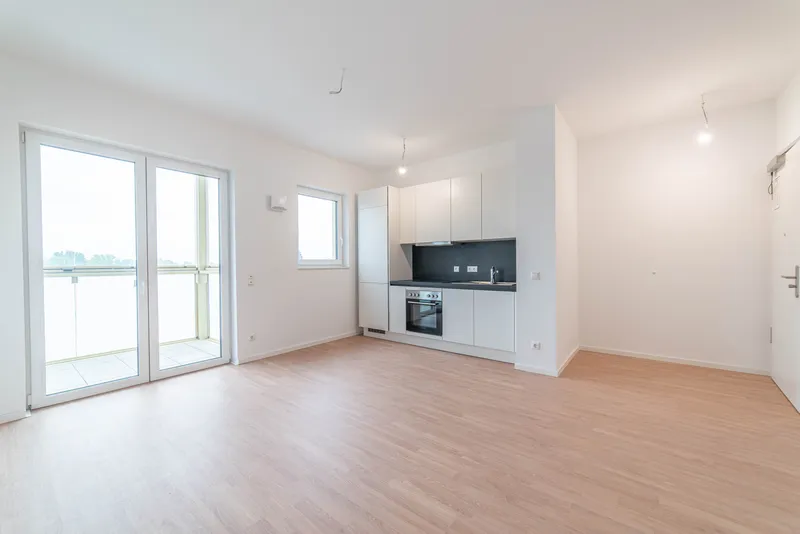 Brand-New 1 Bedroom Penthouse Apartment 262 — photo 1